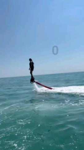 犀牛森林大逃生